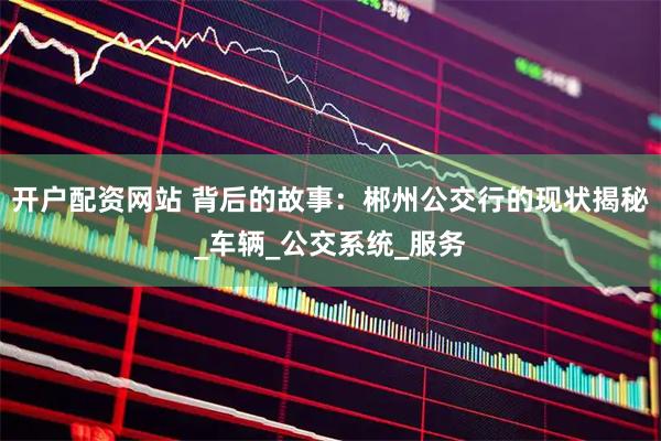 开户配资网站 背后的故事：郴州公交行的现状揭秘_车辆_公交系统_服务