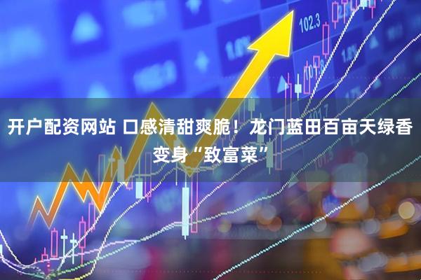 开户配资网站 口感清甜爽脆！龙门蓝田百亩天绿香变身“致富菜”